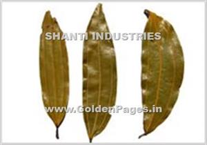 > </div>
<div class=